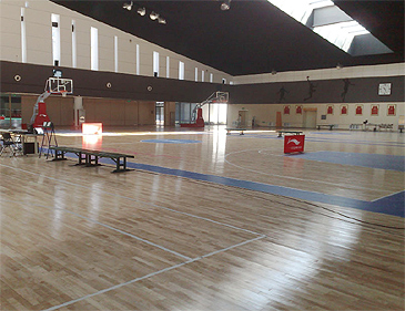 专业运动木地板